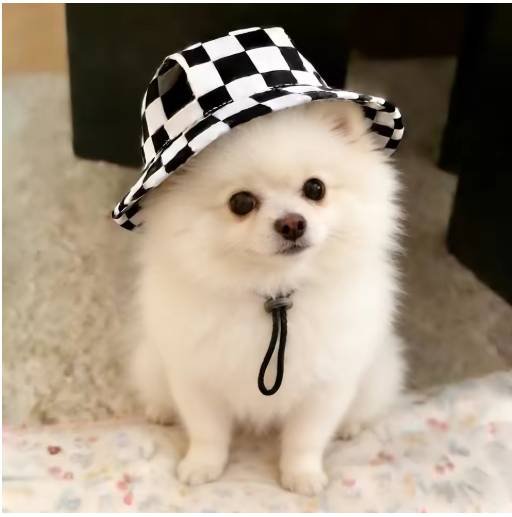 Cute Print Dog Hat