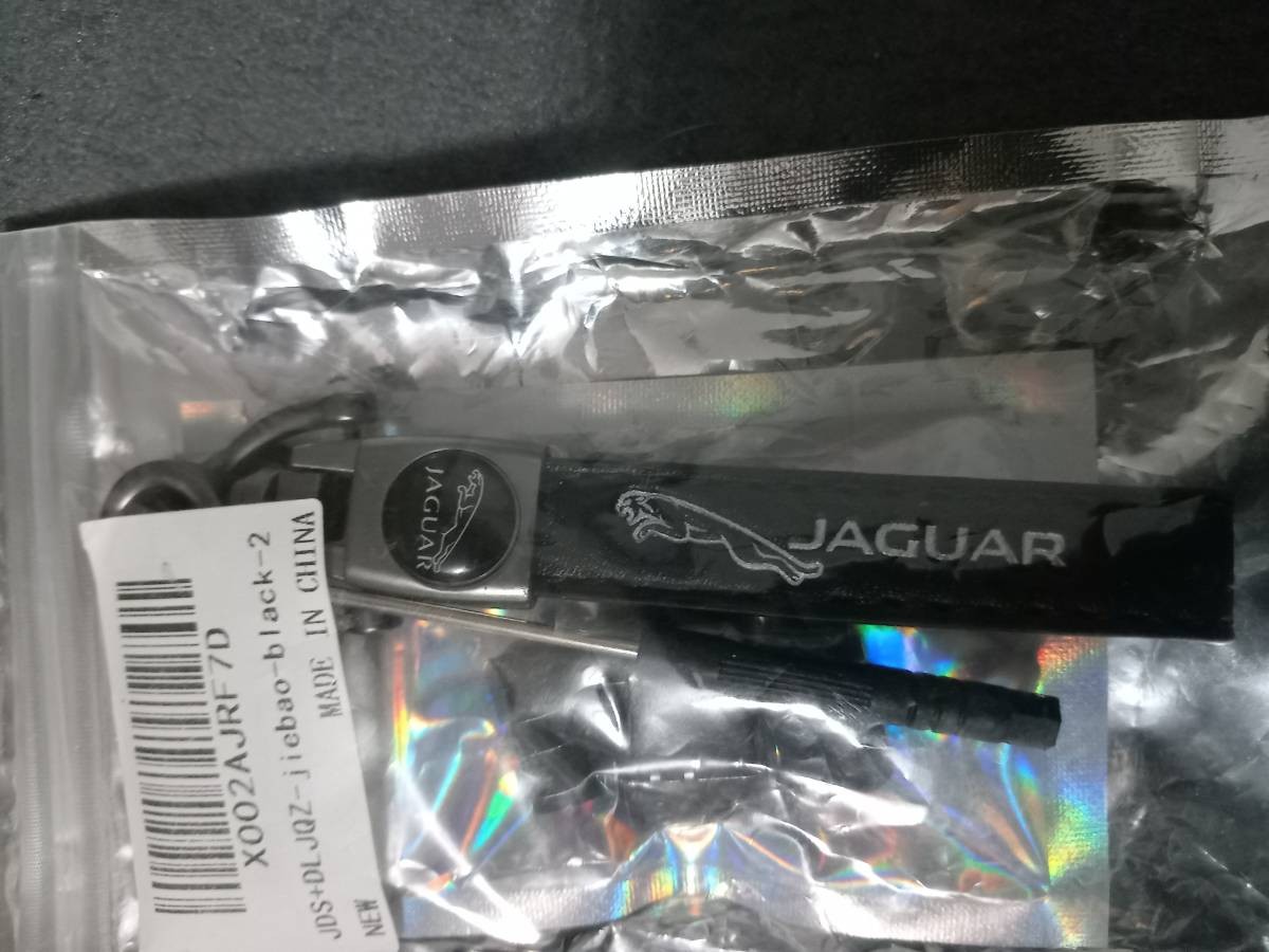 Jaguar keyring is set